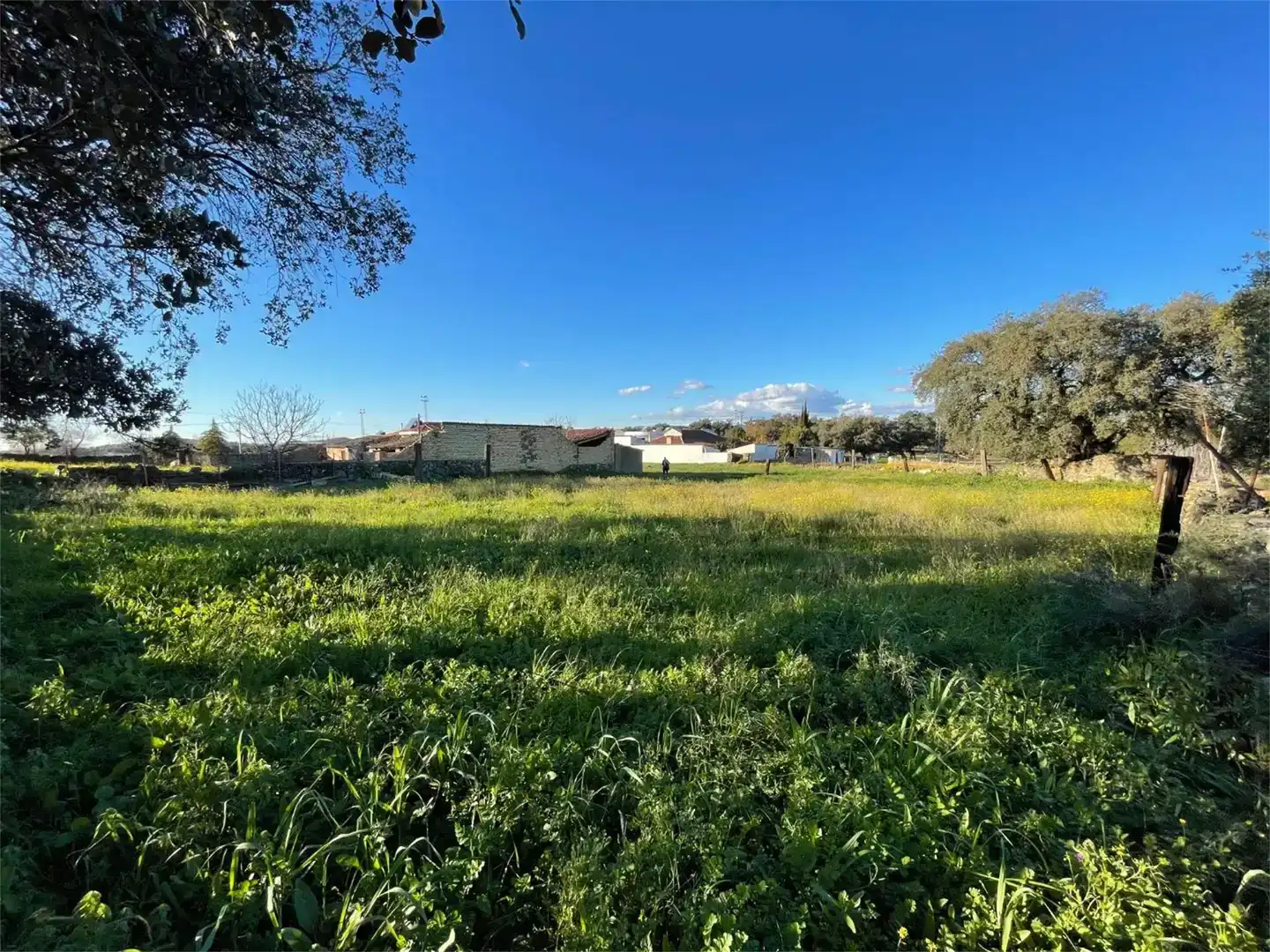 Land for sale in Campofrío