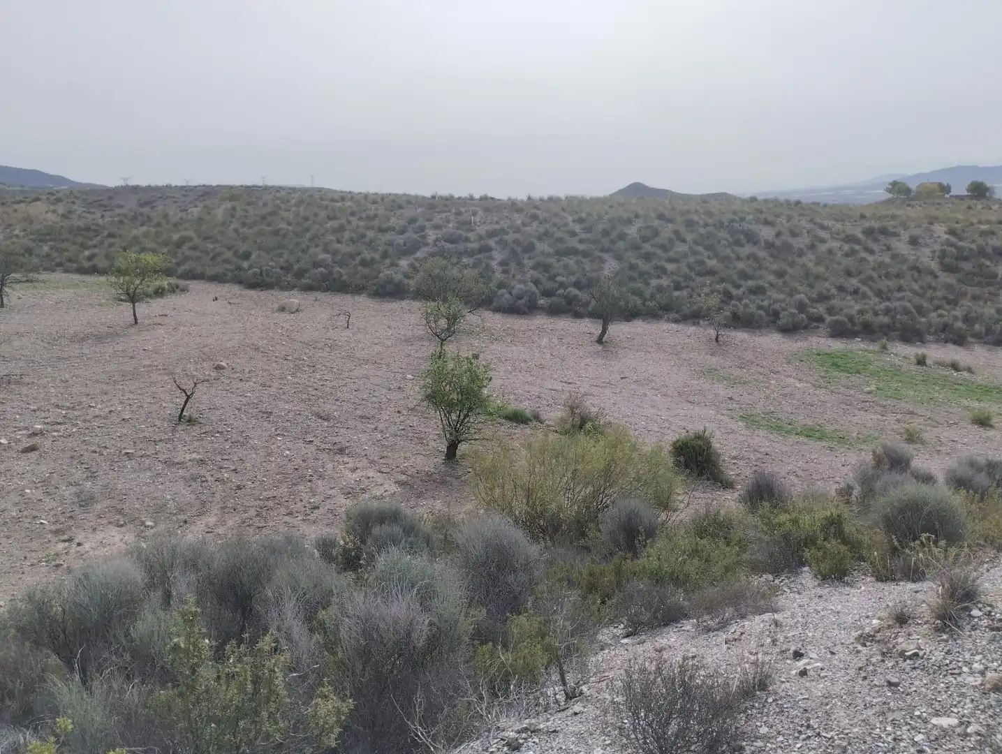 Terreno rustico in vendita a Pedanías Centro, imagen 8