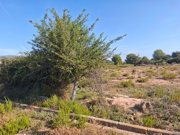 Terrenos y solares en venta en de la Tramuntana
