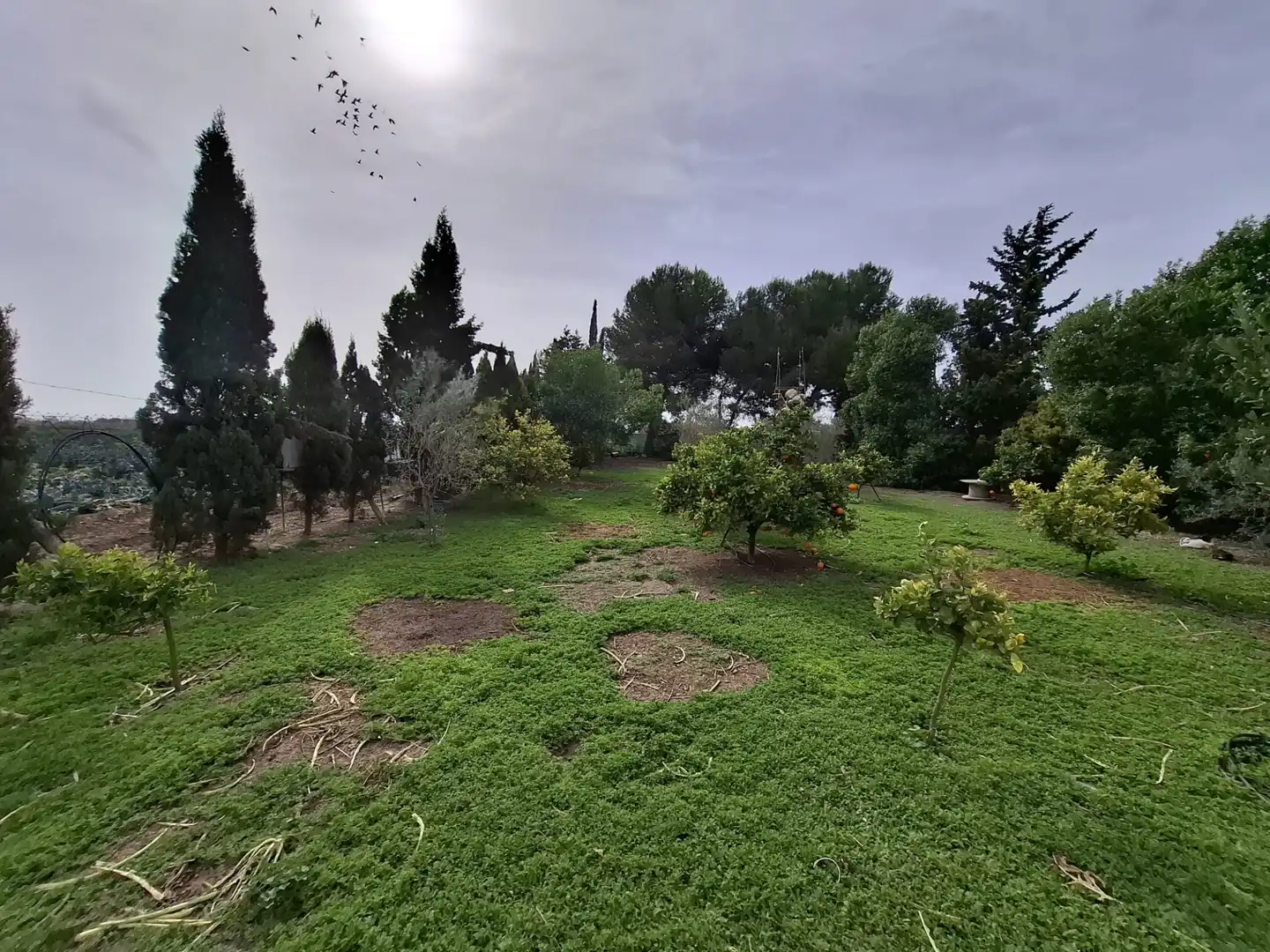 Finca rústica en venda a Partida Saavedra, El Edén