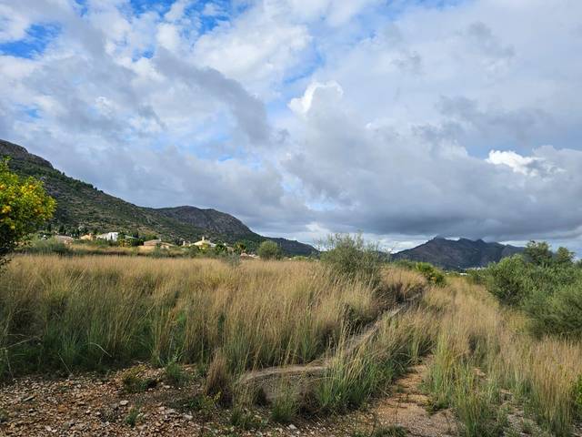 Terreno en Venta en Tormos