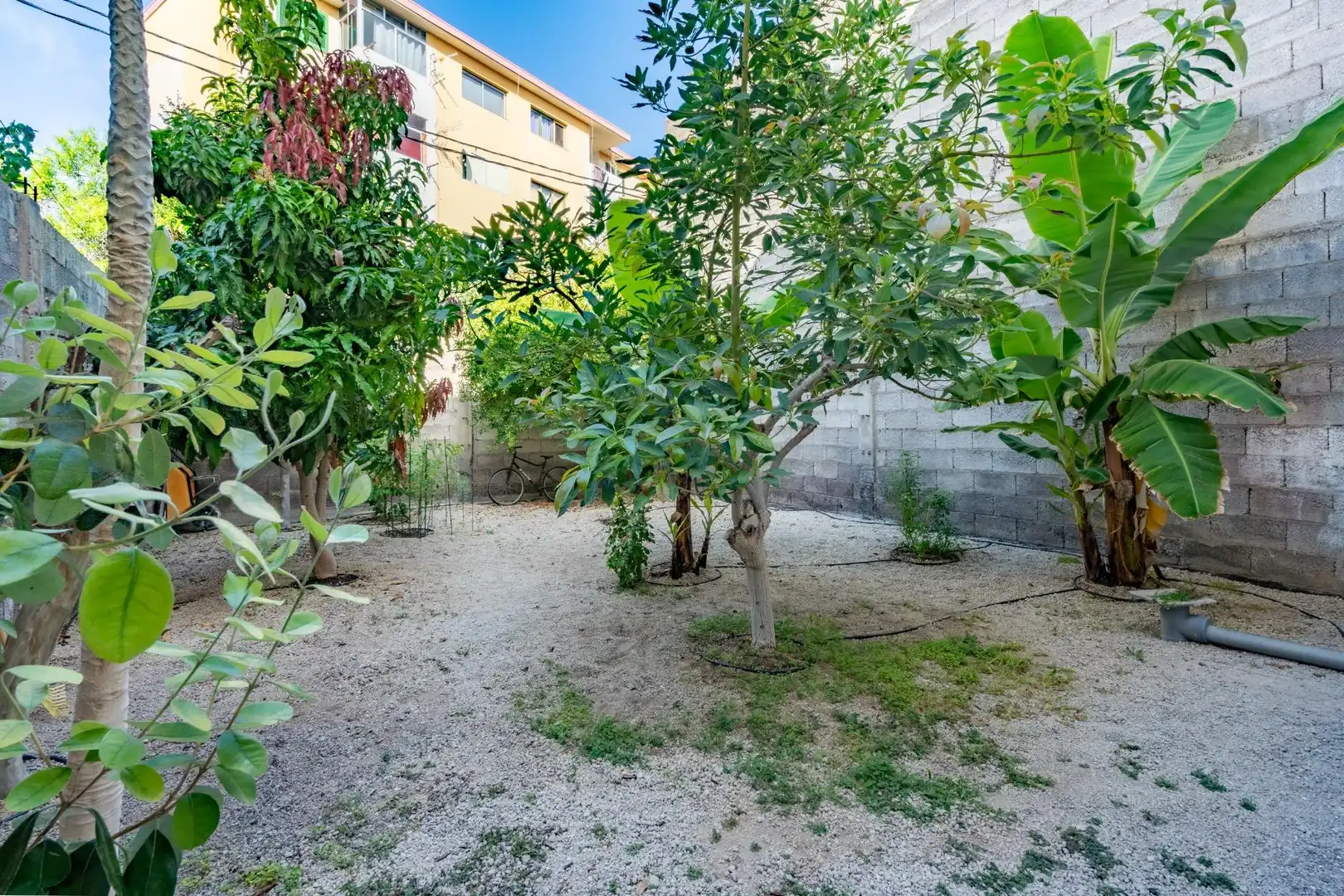 Jardín de Edificio en venta en Arona