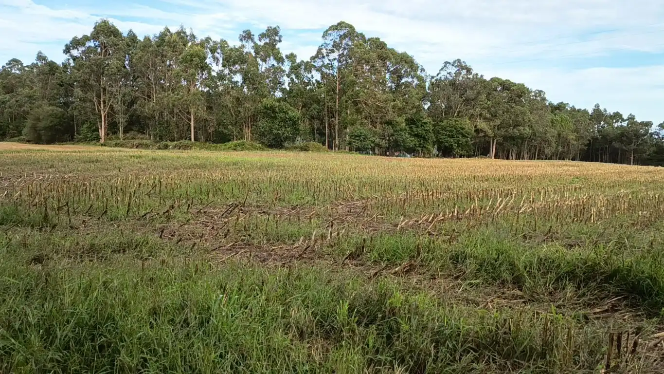 Terreno rústico en venta en Aldea Cabañas, imagen 17