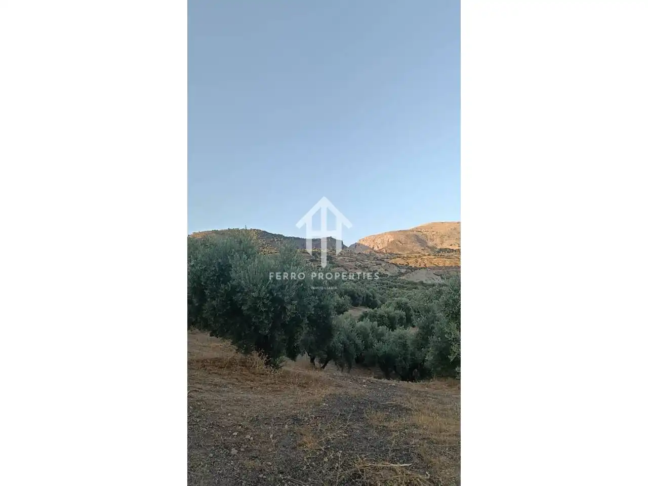 Terreno rustico in vendita a Camino Yeseros de Nivar 1, imagen 2