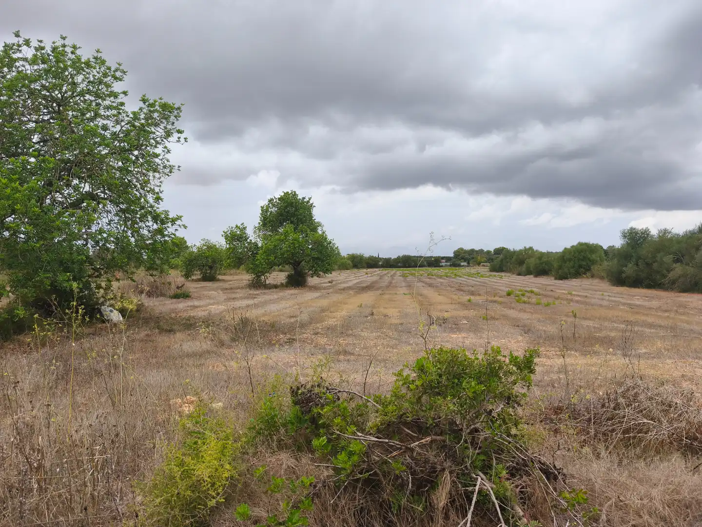 Terrain résidentiel à vendre à Algaida, imagen 2