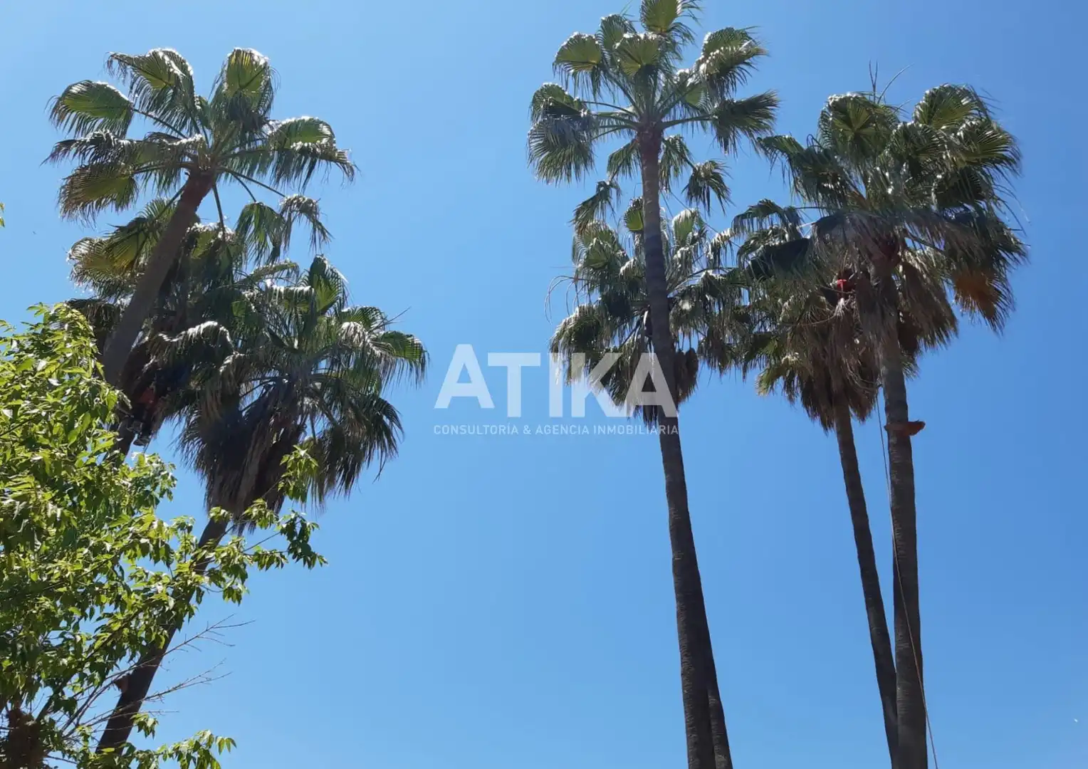 Vista exterior de Casa o xalet en venda en Ontinyent amb Aire condicionat, Calefacció i Jardí privat