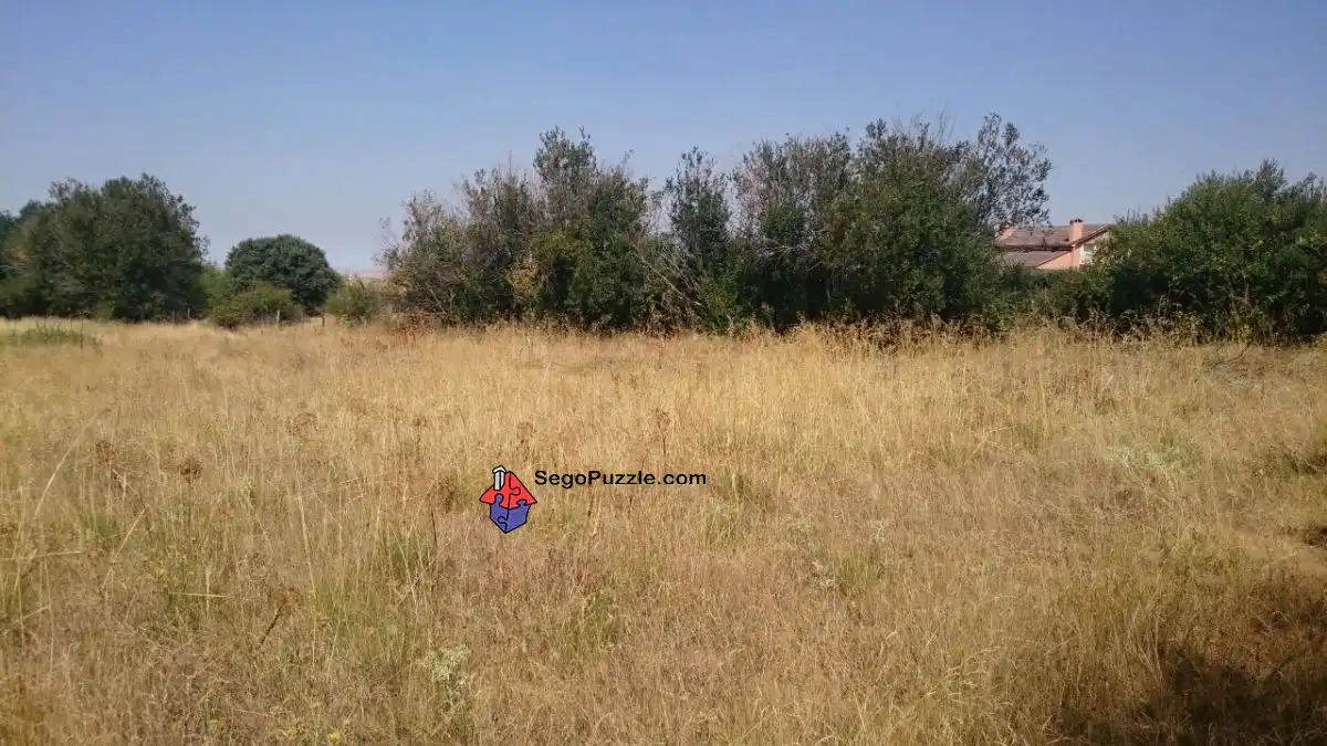 Terreni e lotti in vendita a Palazuelos de Eresma, imagen 4