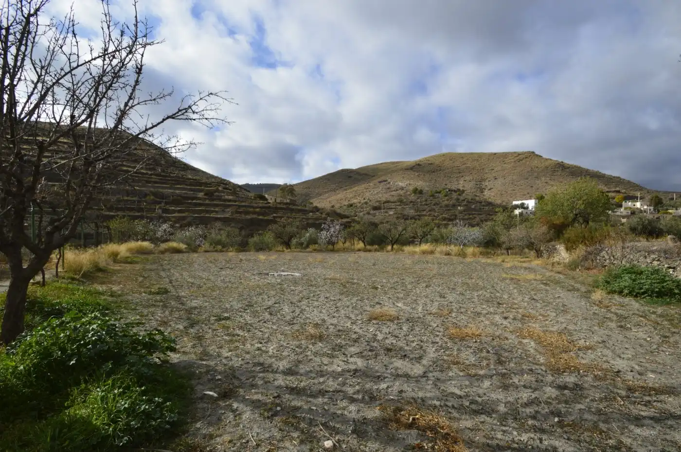 Finca rústica en venta en Gérgal