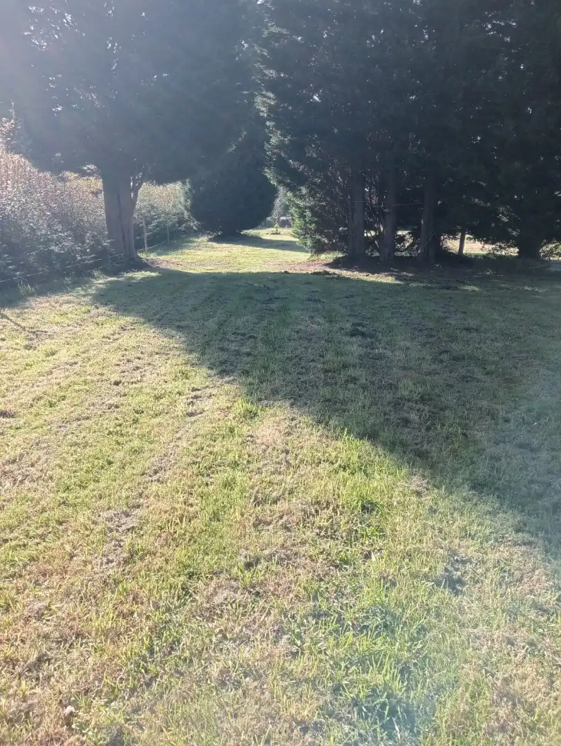 Terreni e lotti in vendita a Camiño Forxán, imagen 7
