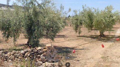 Photo 3 of Land for sale in Boverals - Saldonar, Castellón