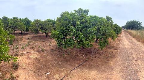 Foto 5 de Residencial en venda a Pau Lledó, Castellón
