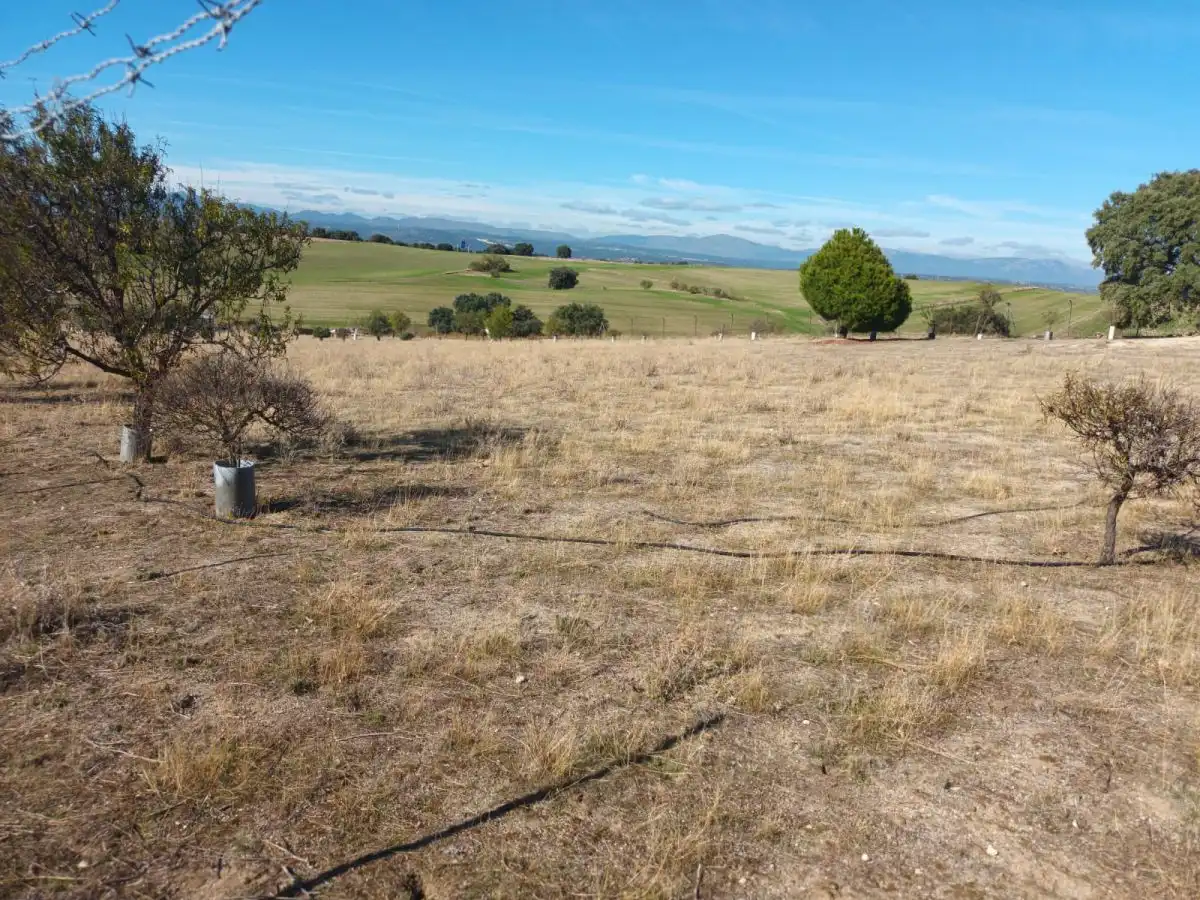 Finca rústica en venta en Brunete