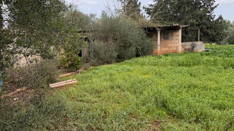 Foto 3 de Finca rústica en venda a Inca, Ciutat d'Alcúdia, Illes Balears