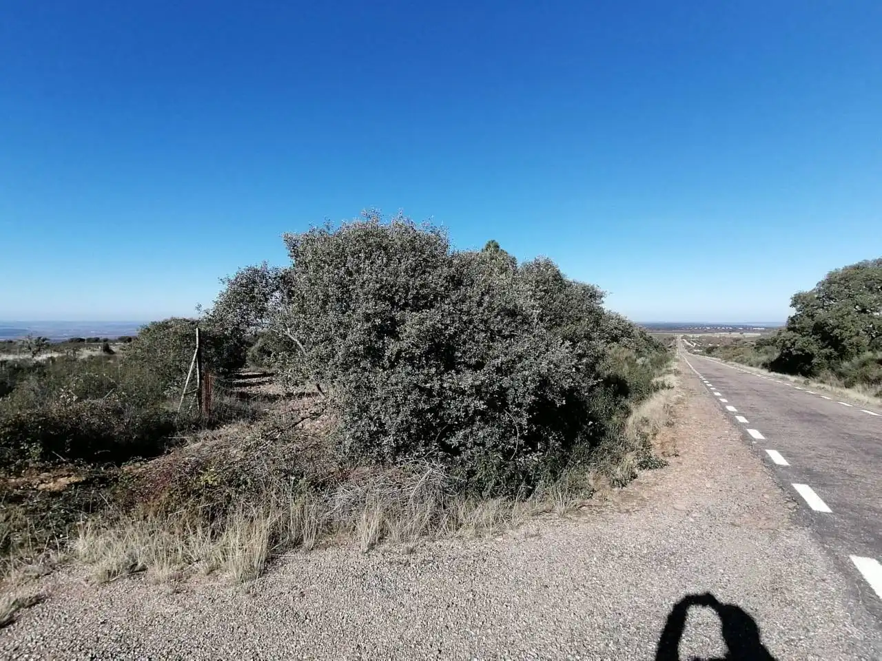 Terreny rústic en venda a Serradilla del Arroyo, imagen 16