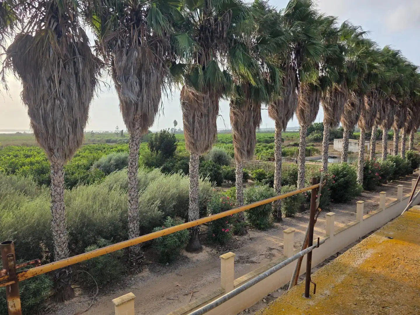 Rural land for sale in Carretera PEREZ LOS, imagen 10