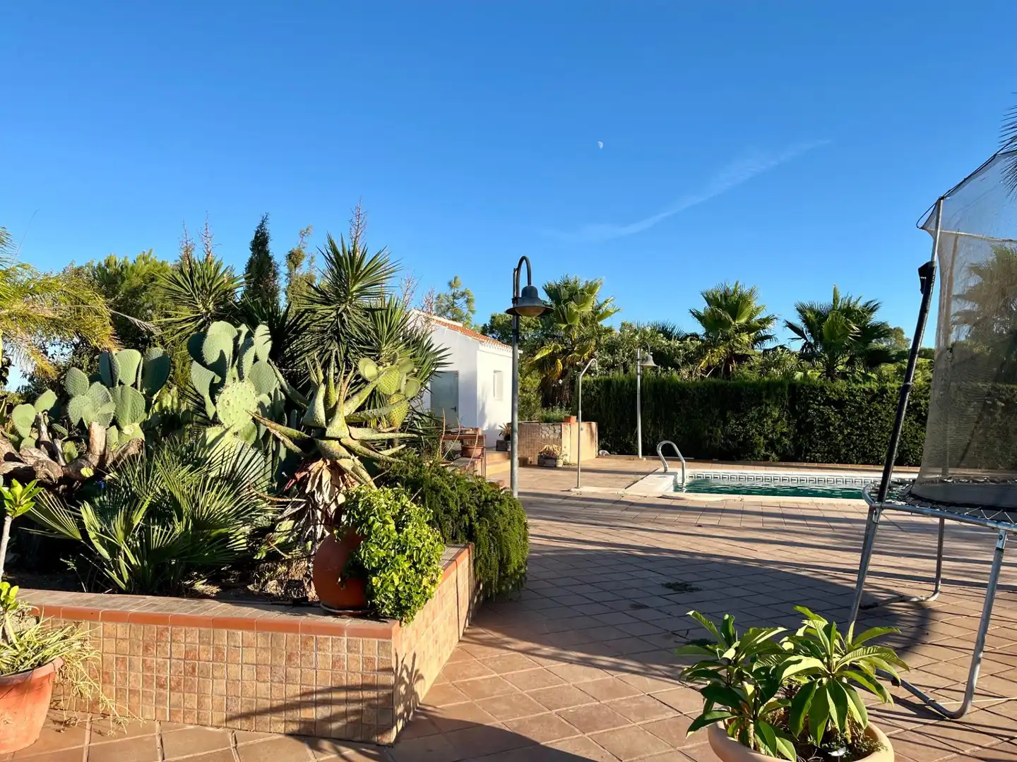 Vista exterior de Finca rústica en venta en Ayamonte con Jardín privado, Trastero y Piscina