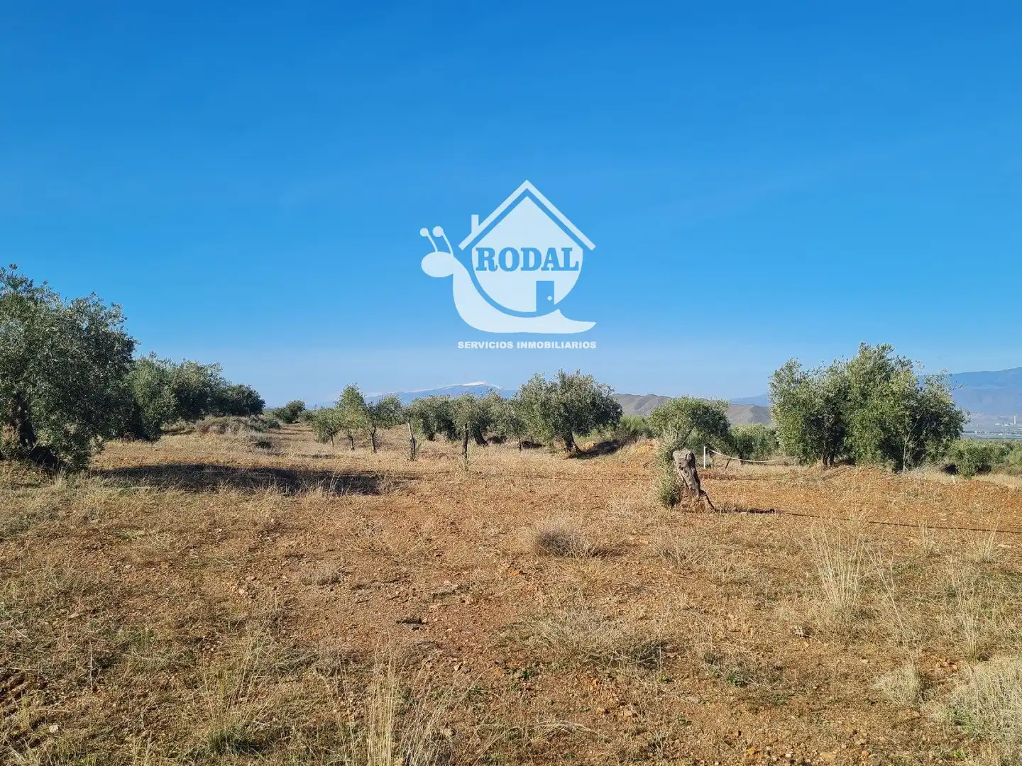 Terreno en venta en Turrillas