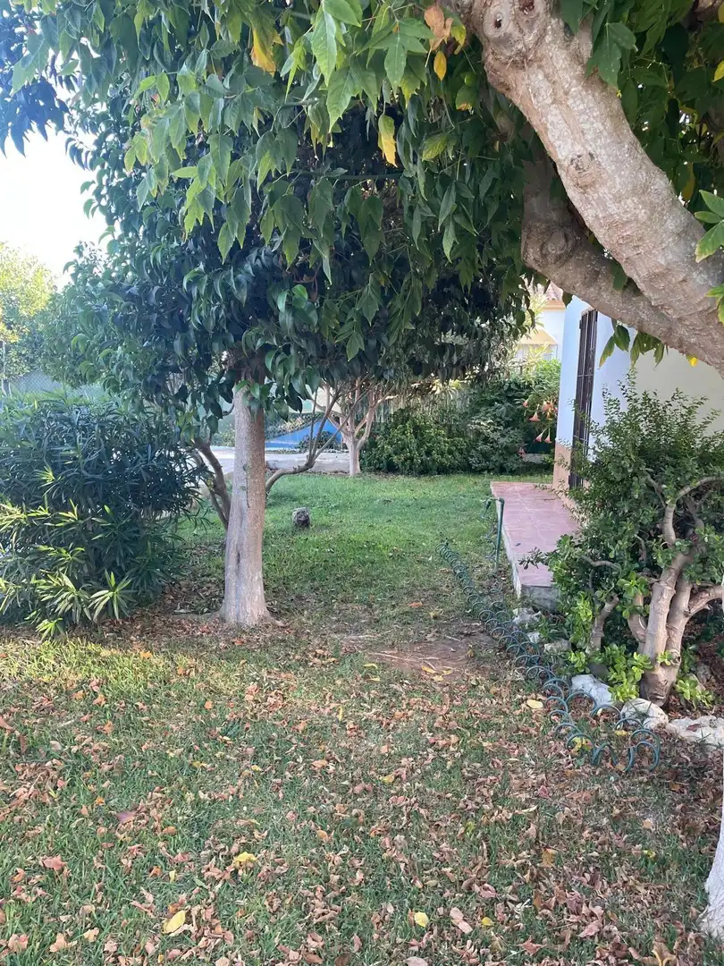 Xalet amb piscina en venda a Los Franceses – La Vega, imagen 18