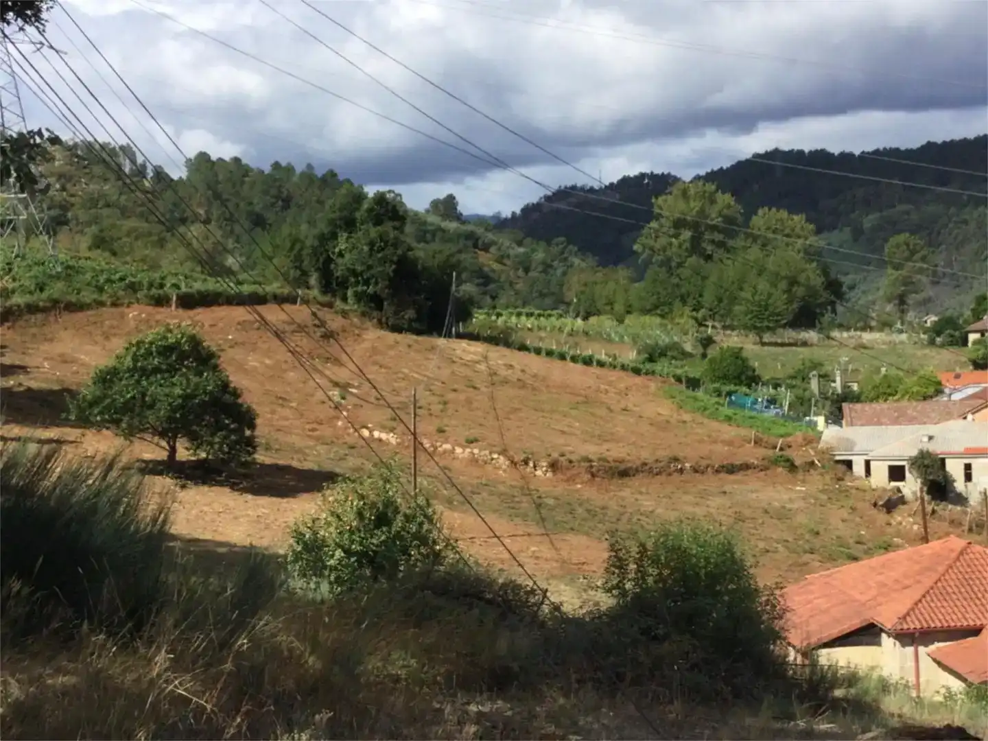Finca rústica en venda en Castrelo de Miño amb Traster