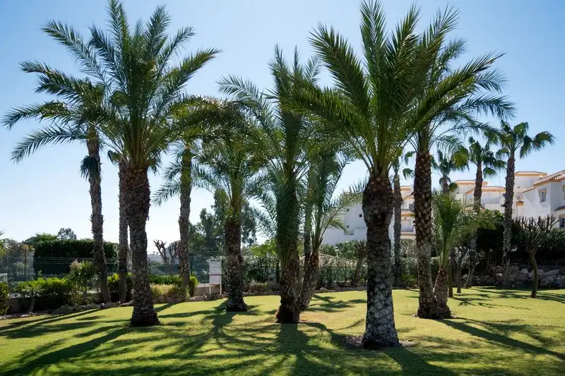 Garden of Detached homes for sale in Santa Pola  with Air Conditioner, Terrace and Balcony