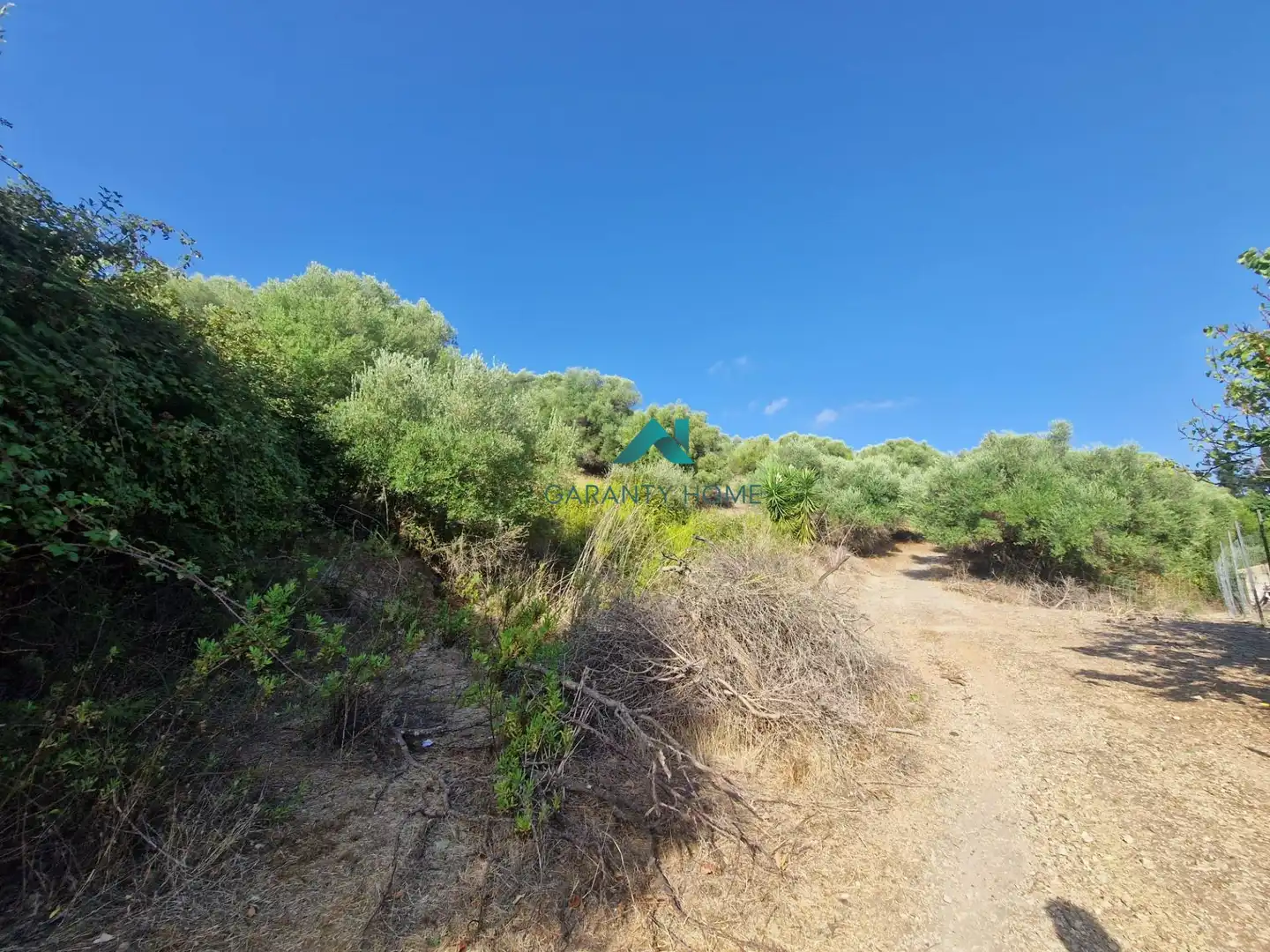 Rural land for sale in San José del Valle, imagen 2