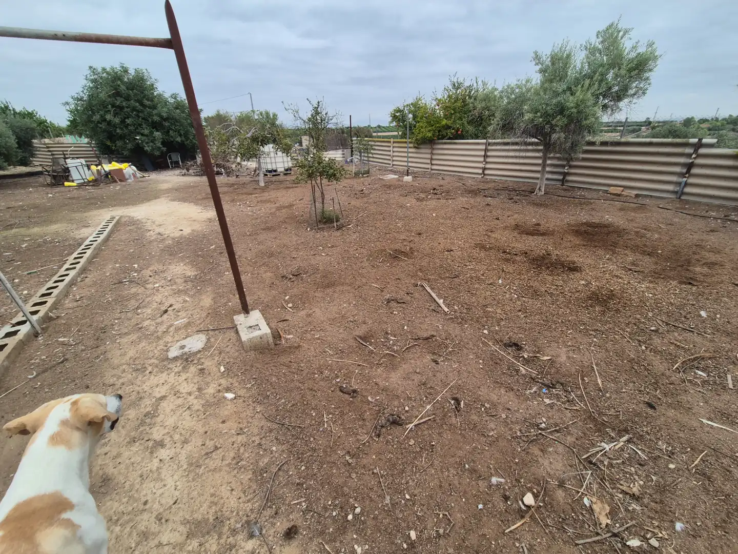 Finca rústica en venda en Las Torres de Cotillas amb Jardí privat, Terrassa i Traster