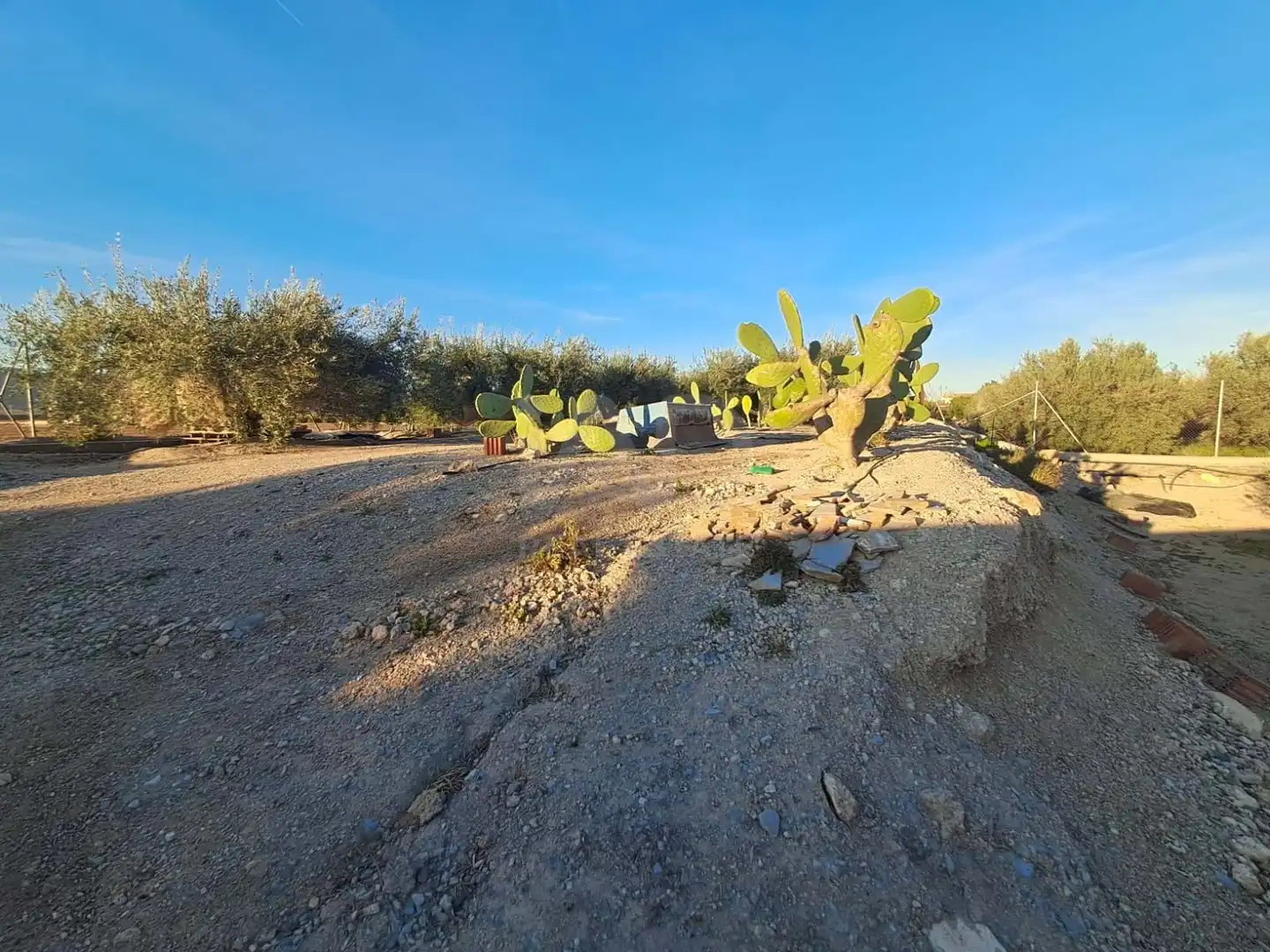 Casa o chalet en venta en Lorca con Terraza