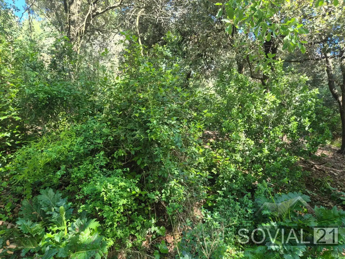 Terreno residenziale in vendita a Les Planes, imagen 16