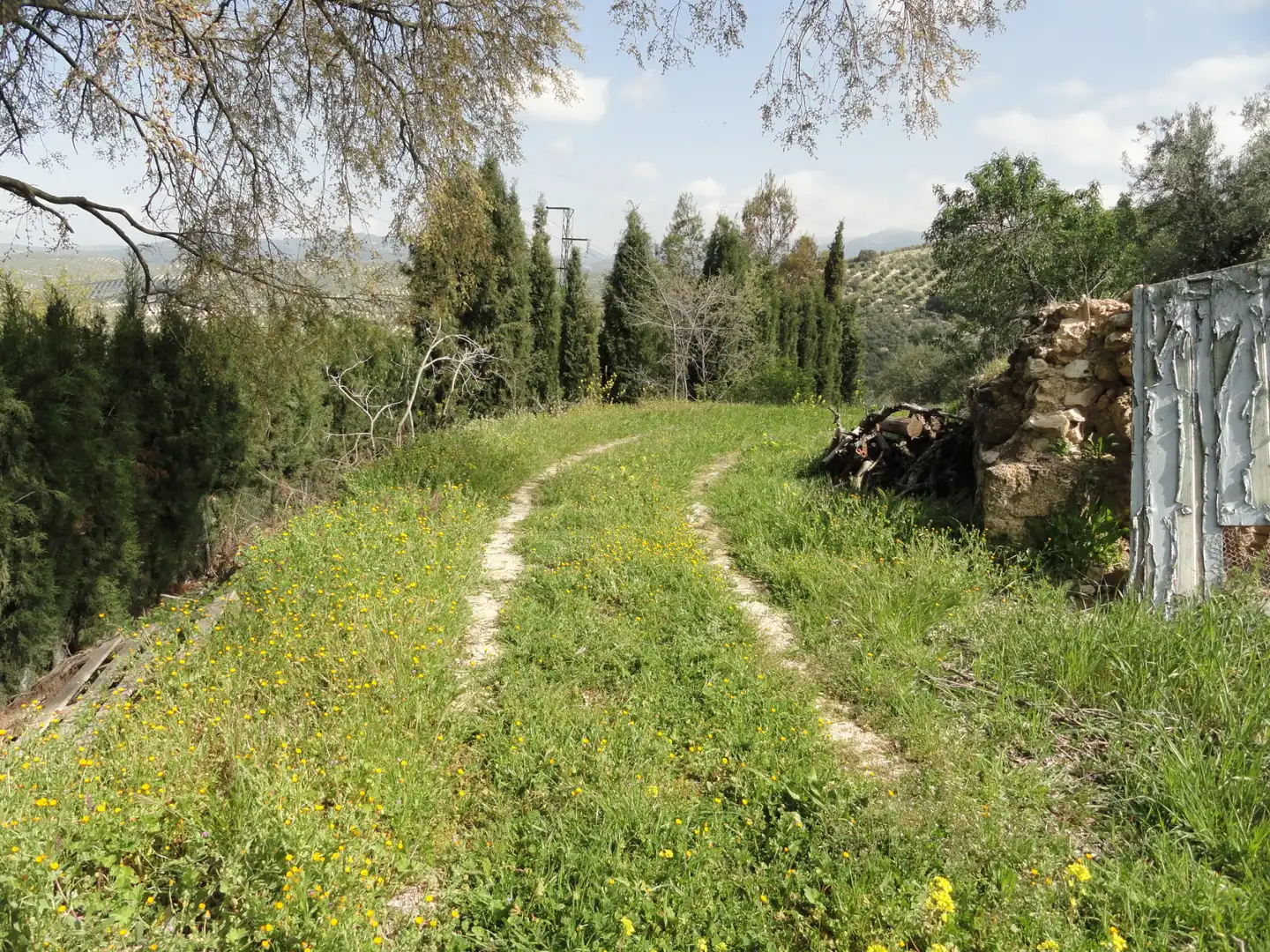 Land for sale in La Iruela