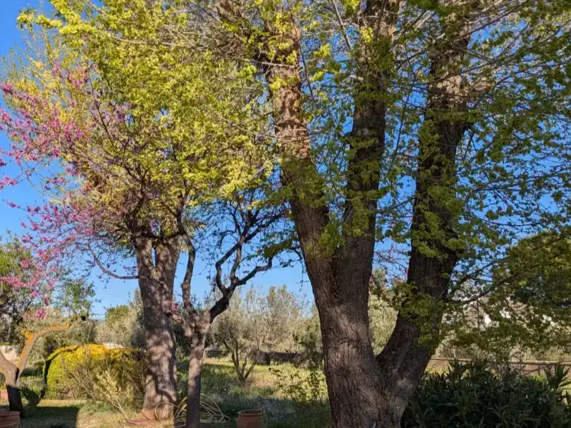 Jardí de Pis en venda en Onil amb Jardí privat, Traster i Piscina