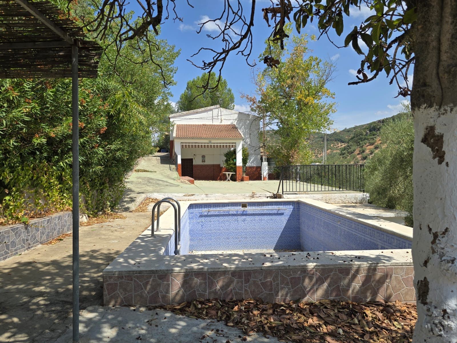 Piscina de Casa o xalet en venda en Rute amb Jardí privat, Terrassa i Traster