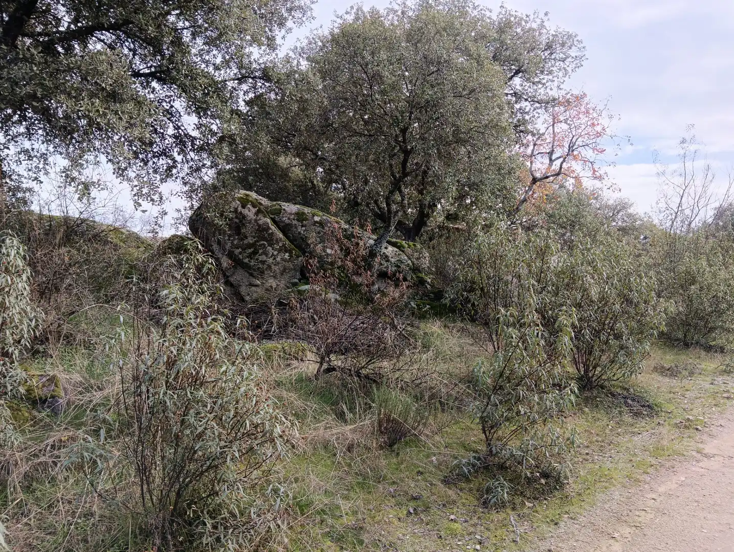 Casa o xalet en venda en Valdemorillo