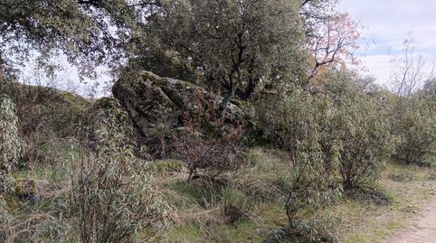 Foto 5 de Casa o xalet en venda a Mojadillas - Parque de las Infantas - El Paraiso, Valdemorillo