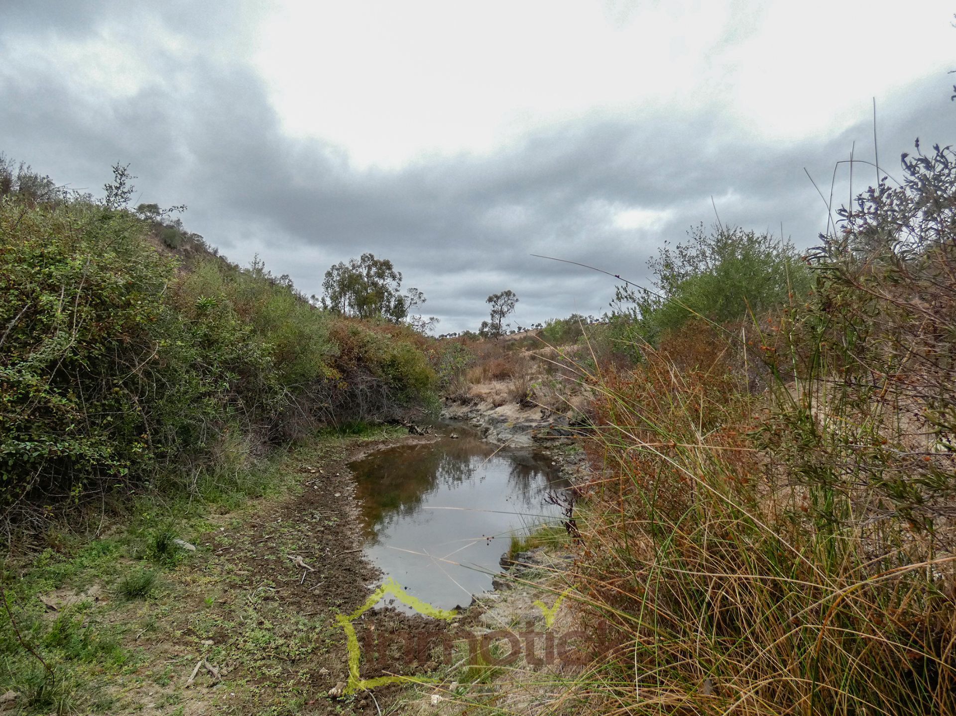 Finca rústica en venda en Alosno