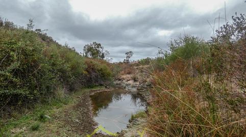 Foto 2 de Finca rústica en venda a Tharsis, Huelva