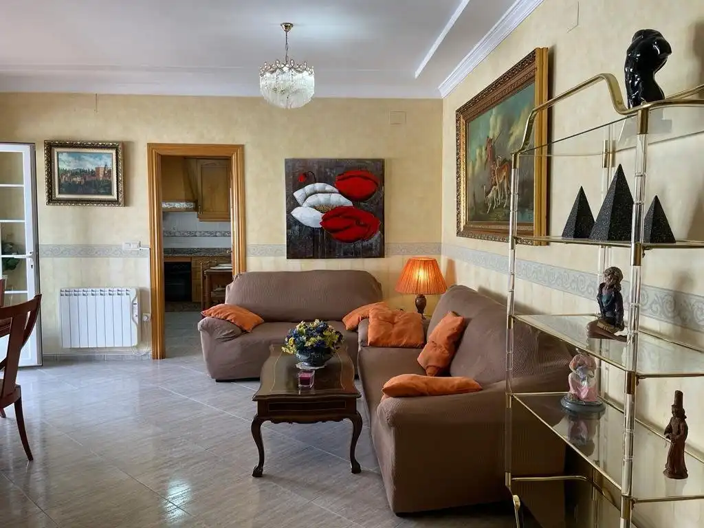 Living room of Houses for rent in Centro de Albolote