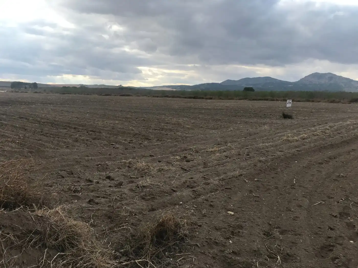 Grundstücke zum Verkauf in Villena