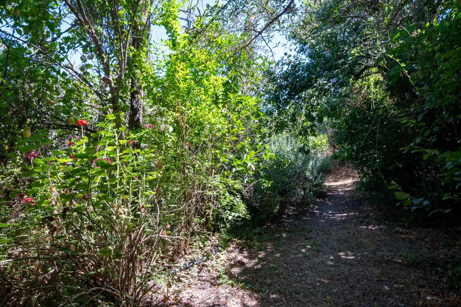 Finca rústica en venda en Lecrín amb Piscina