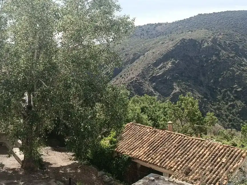 Jardí de Casa adosada en venda en La Taha amb Aire condicionat, Traster i Balcó