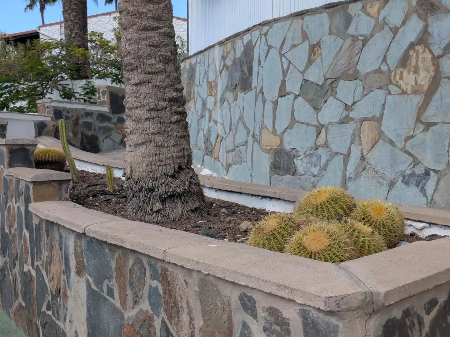 Bungalow avec piscine à vendre à Avenida de Menceyes 5, imagen 49