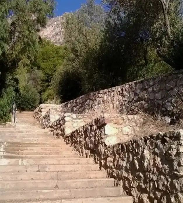 Terreny rústic en venda a Camí de la Perrera, imagen 10