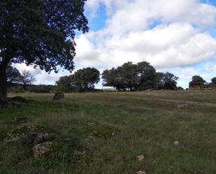 Land for sale in Fresnedillas de la Oliva