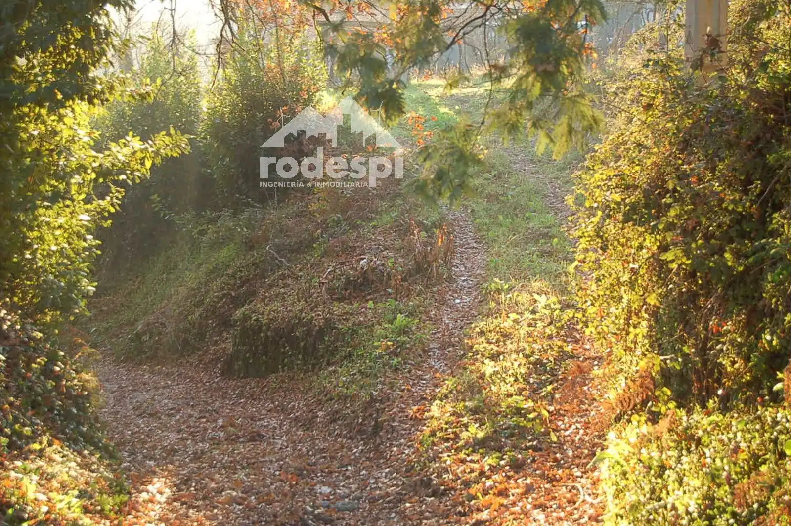 Terrenys i solars en venda a Ponteareas, imagen 9