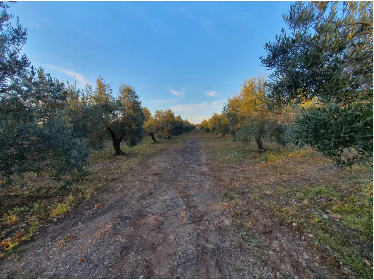Residencial en venta en Entrín Bajo