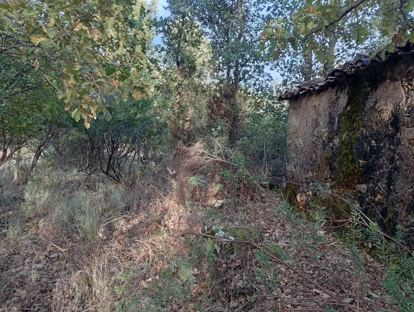 Terreni e lotti in vendita a Villanueva de la Vera, imagen 29