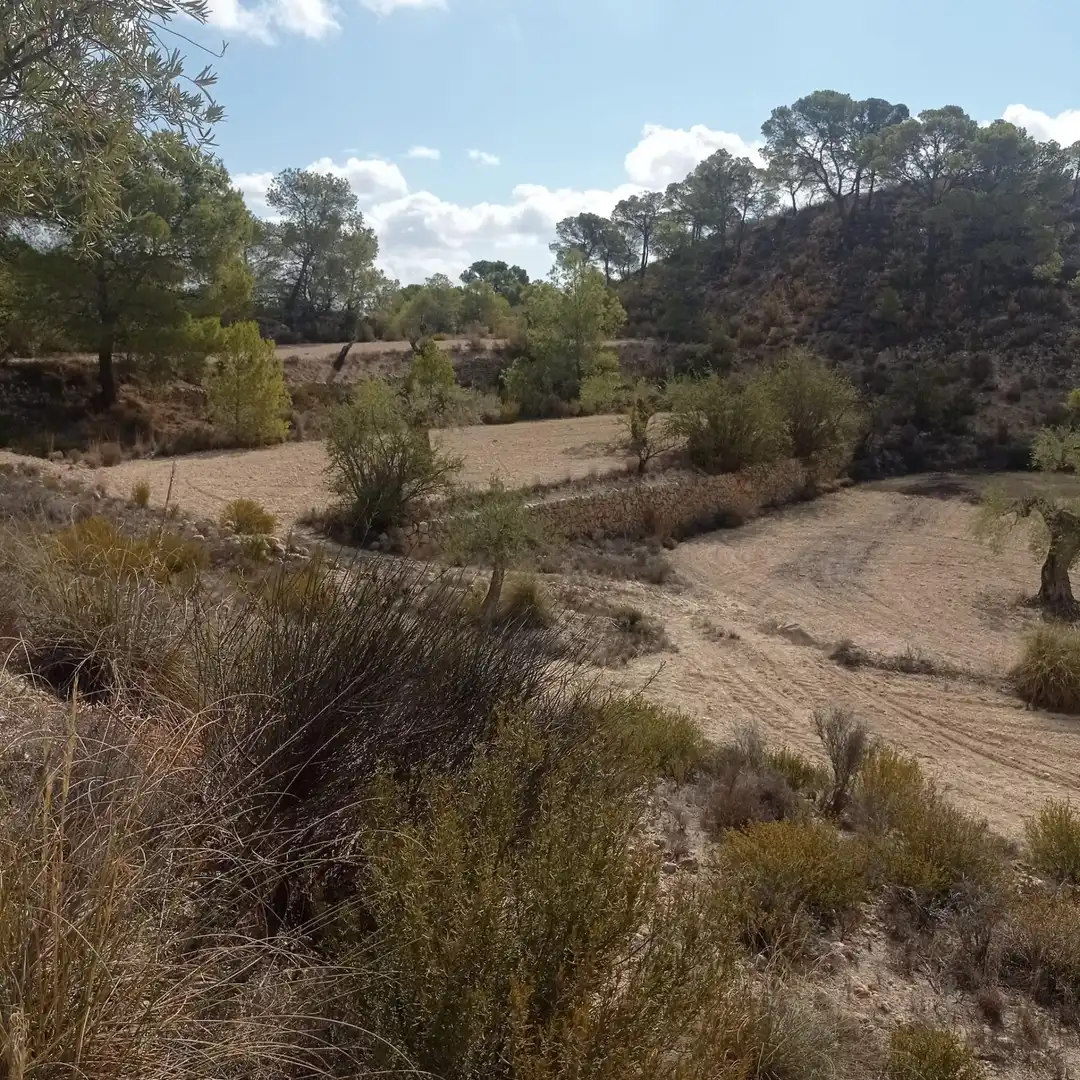 Terrain rustique à vendre à Hondón de las Nieves / El Fondó de les Neus, imagen 8