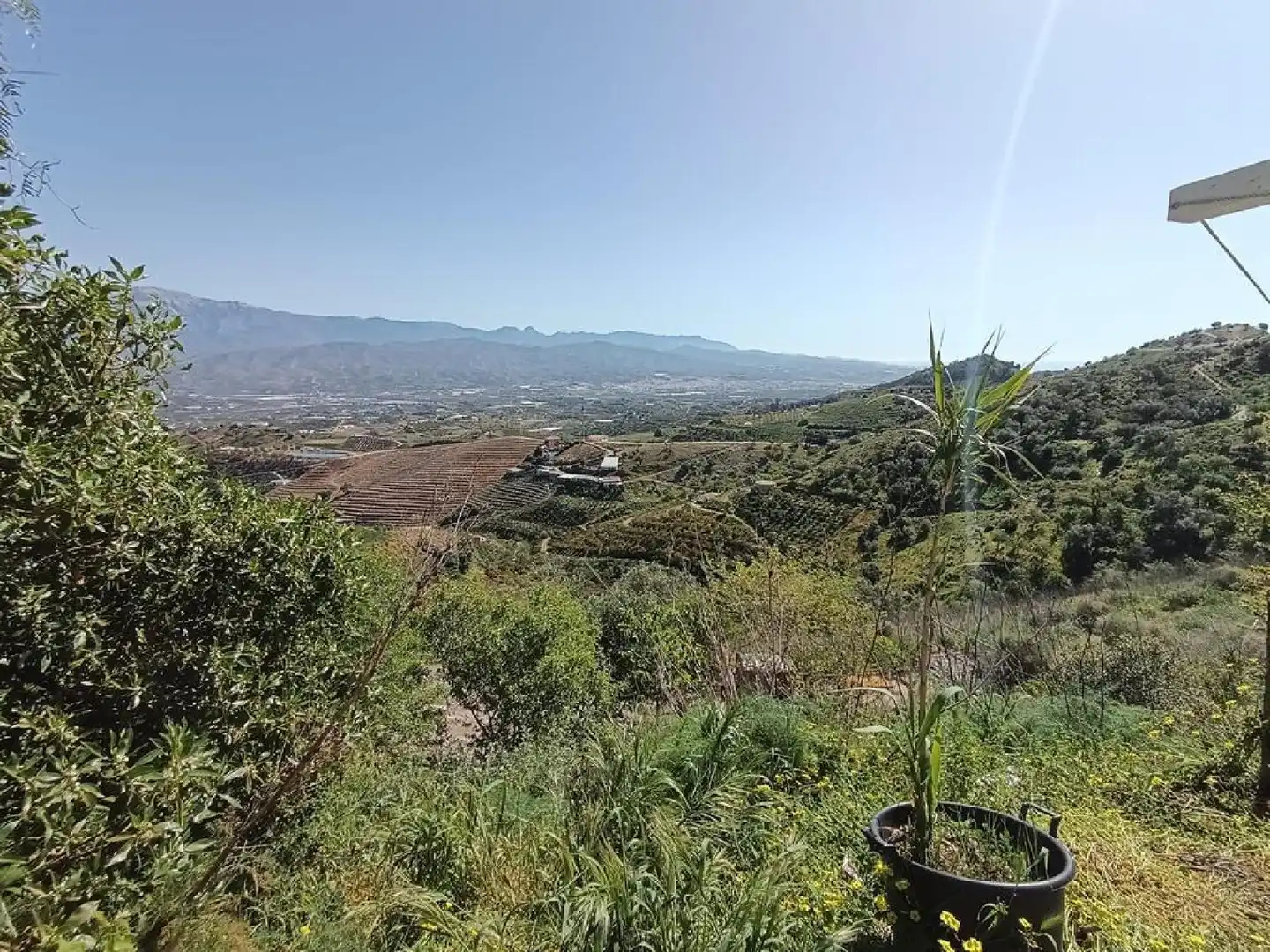 Casa o xalet en venda en Iznate amb Jardí privat, Terrassa i Traster
