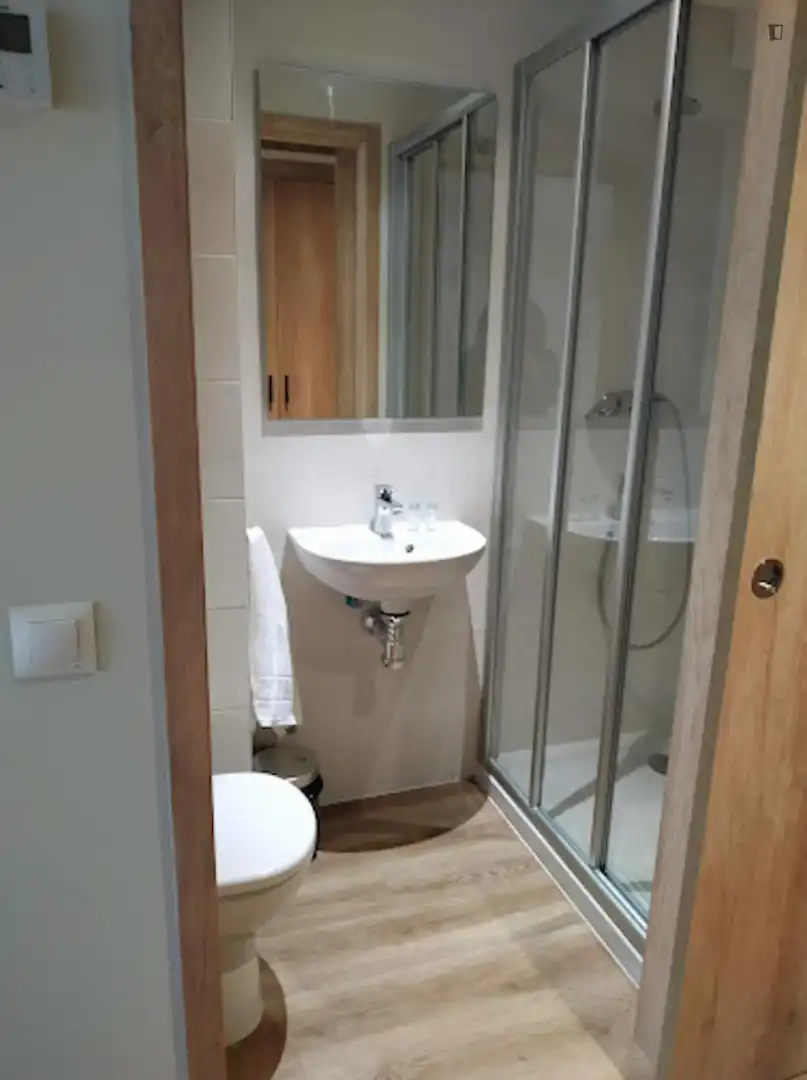 Bathroom of Flat for share in Bilbao   with Air Conditioner, Furnished and Internet