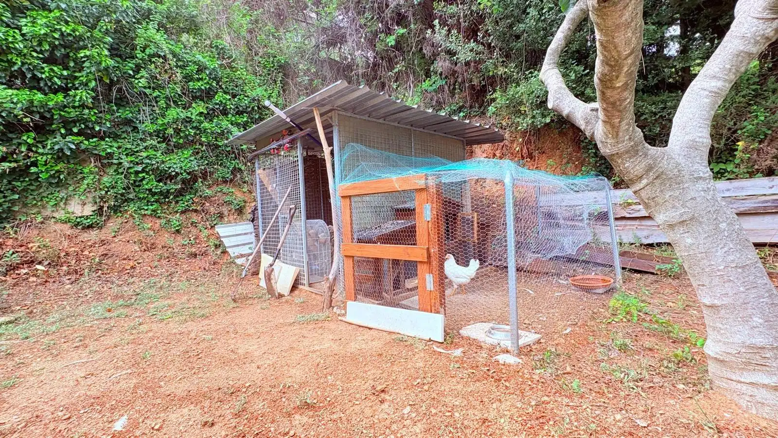 Jardí de Casa o xalet en venda en Castellar del Vallès amb Calefacció, Jardí privat i Terrassa