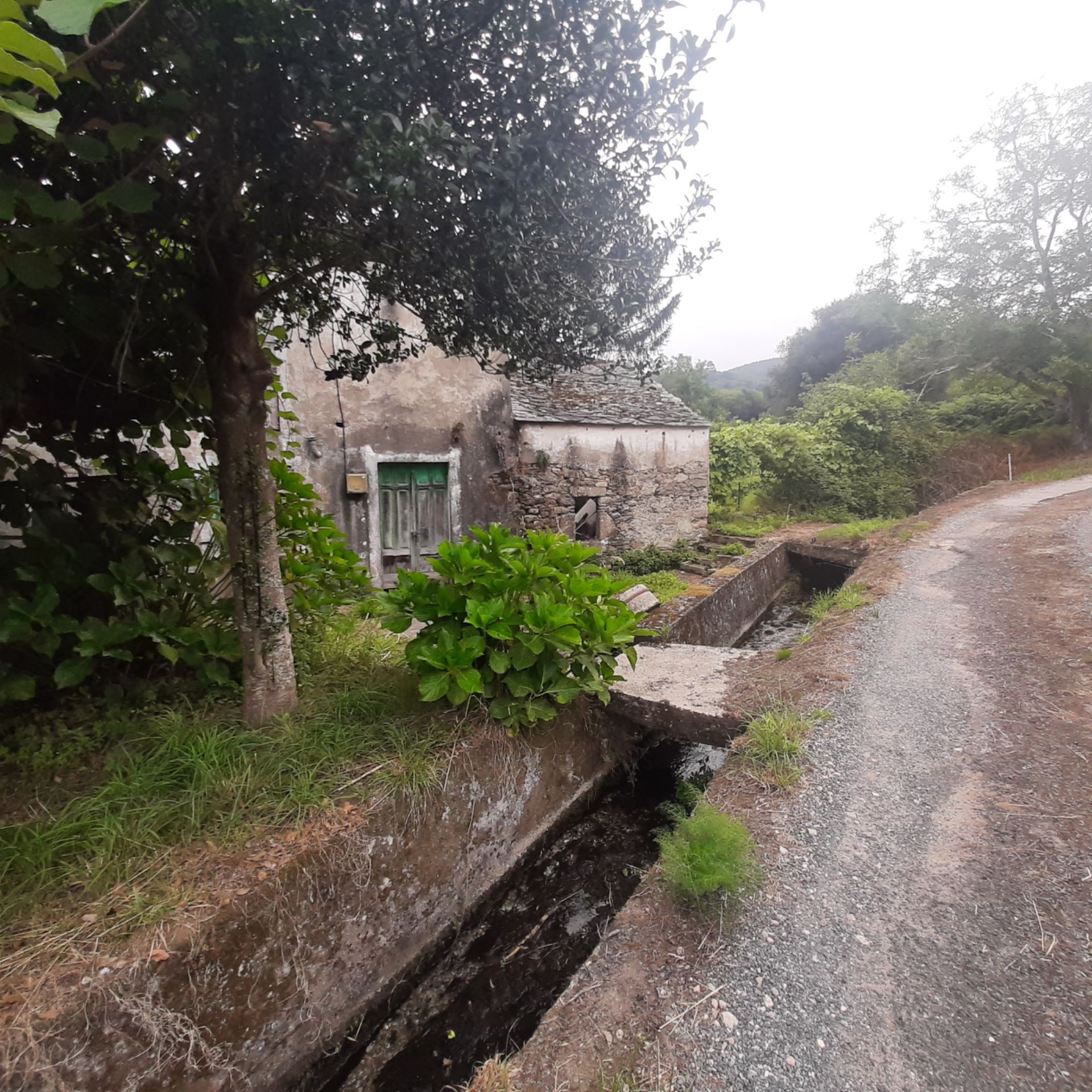 Exterior view of Country house for sale in Viveiro  with Private garden